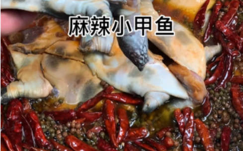 河南正宗麻辣甲魚技術培訓