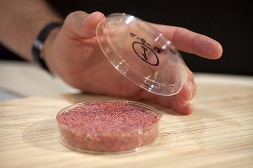 “人造肉”熱潮，未來將替代60%肉制品？